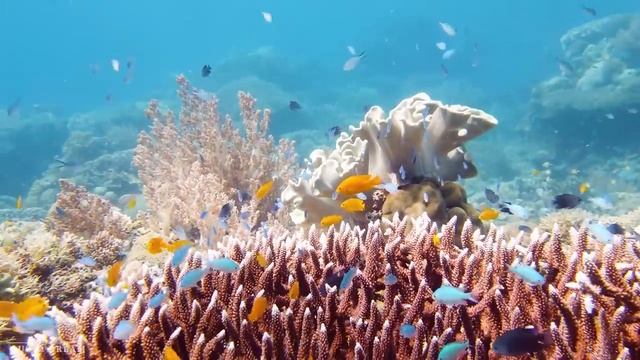 Нежная музыка ?Шум моря, шум моря для сна? успокаивает нервную систему и радует душу смотреть онлайн