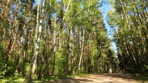 Угрожая врачу рогаткой, бомжонок втолкнул в «Скорую» больную нищенку, а едва врач осмотрел пациентк