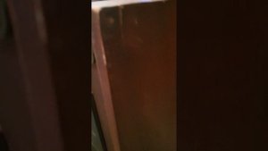 Корвет 35АС-208