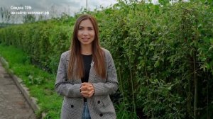 ПОЛИВ САДА ОСЕНЬЮ? Осенний влагозарядный полив: 5 ПРАВИЛ садовода