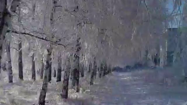 Барнаул, Школа садоводов смотреть онлайн