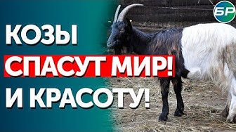 Разработка союзных ученых сулит новые перспективы рынку лекарств и косметики