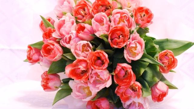 `”*°•.✿ Яна жырлар һәм котлаулар ✿.•°*”` Хатмуллина Фанилә  Шамил кызы.