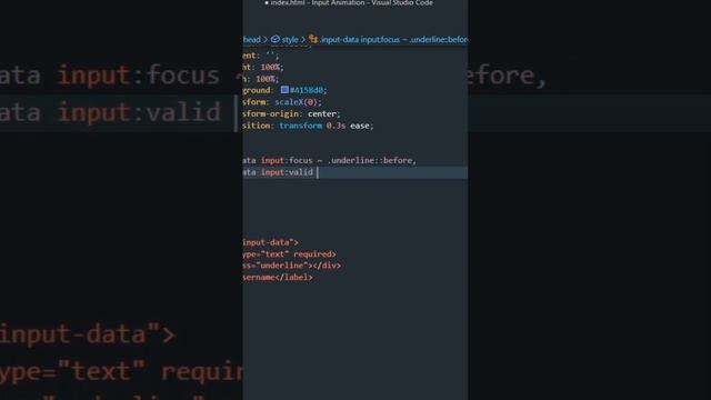 How To Make Input Animation | Html Css
