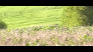 Выживание с НИШТЯКОМ #Безликий видеоблог