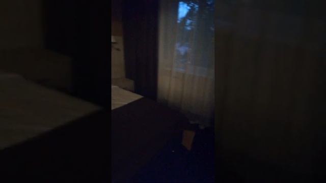 Номер в парк-отеле 