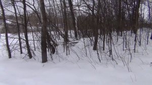 Затерянное братское захоронение ВОВ