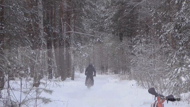 В зимнюю сказку на питбайках смотреть онлайн