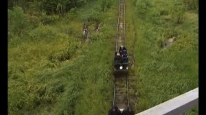 Узкоколейная железная дорога п.Синдор