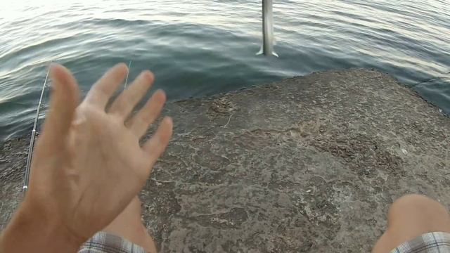 Открытие сезона по саргану на пилькер.Ловля ставриды на попловок. смотреть онлайн