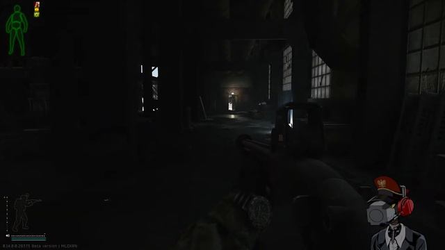 For Want of an Ophthalmoscope - Escape From Tarkov смотреть онлайн