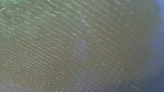 Чебаки казаки 1 смотреть онлайн