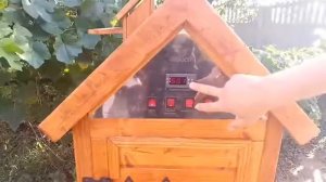 Как и зачем сушить продукты в коптильне Drevos