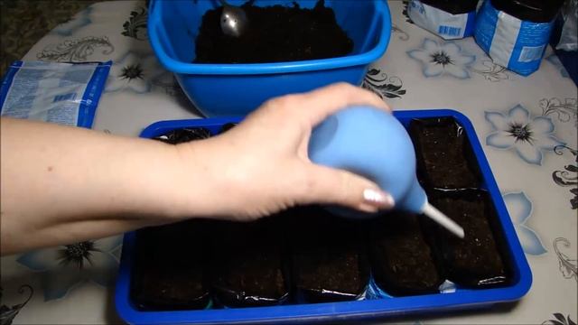 Рассада томатов без пикировки и перевалки смотреть онлайн