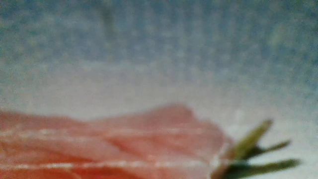 Любопытная Варвара(Если будешь много знать,сможешь скоро старой стать.Любопытному на днях(наброски) смотреть онлайн