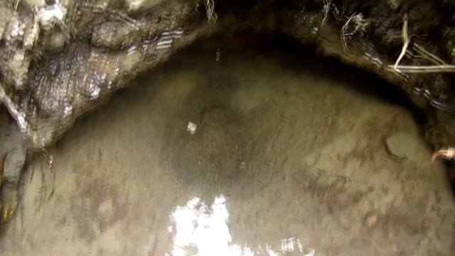 Алаколь (отдых на озере Алаколь Казахстан)