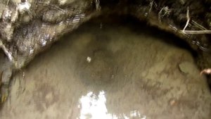 Алаколь (отдых на озере Алаколь Казахстан)