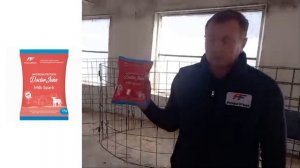 Выращивание молодняка крс. Как кормить телят с рождения до 3х месяцев? Рассказывают наши коллеги.