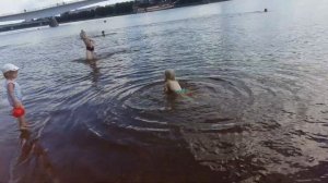 Дети купаются, учатся плавать, брязгаются в реке