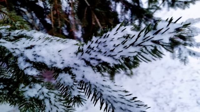 15 февраля. СРЕТЕНИЕ ГОСПОДНЕ.Народные приметы и традиции.