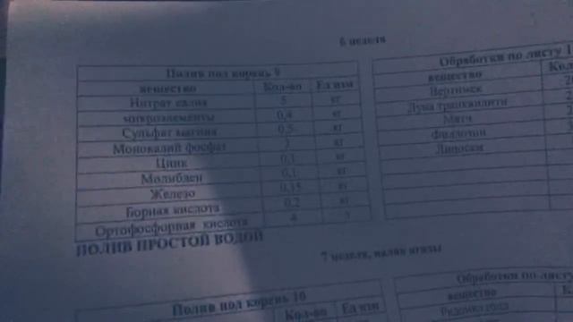 Питание клубники , с чего начать ? Как чистить ? смотреть онлайн