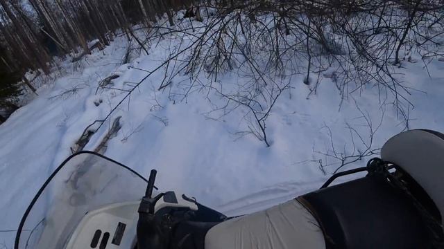 Подъехал к лосю на снегоходе! Врезался в дерево! смотреть онлайн