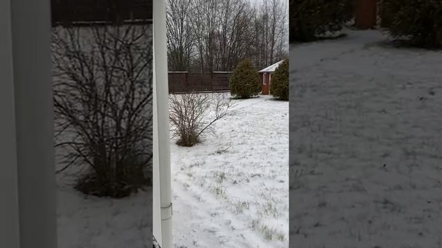 Второй день проверки дома перед покупкой. Помогли покупателю снизить цену на 2 млн. рублей.