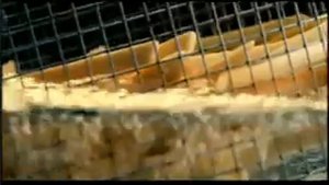 Фритюрница Delonghi