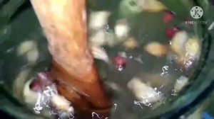 КВАС ИЗ ЧЕСНОКА, по Болотову