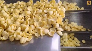 Крупнейшие заводы по производству чипсов в Беларуси