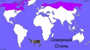 10 ИНТЕРЕСНЫХ КАРТ МИРА АРЕАЛЫ ОБИТАНИЯ ДИКИХ ЖИВОТНЫХ