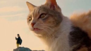 Телевизор Haier 50 Smart TV S3