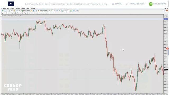 03.02.2022 СТОП-ЛОСС И ТЕЙК-ПРОФИТ. КАК ПРАВИЛЬНО УСТАНОВИТЬ НА ПРИМЕРЕ КРИПТОВАЛЮТ? МАКСИМ БЛЕС смотреть онлайн