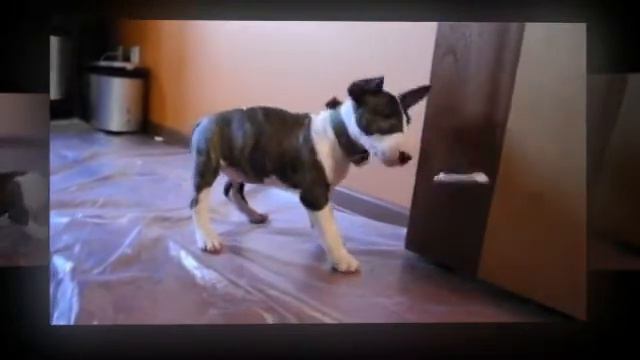 E Rick смотреть онлайн