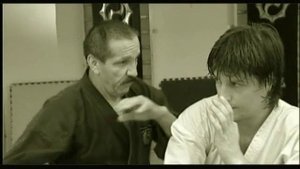 Оперативное карате. Рукопашный бой в экстремальный ситуациях Ю.Е. Маряшина. - Урок 3 - Удары руками