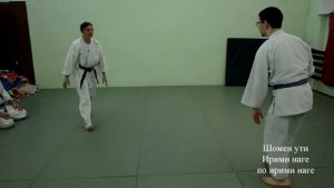 Шомен ути Ириминаге теория ирими наге