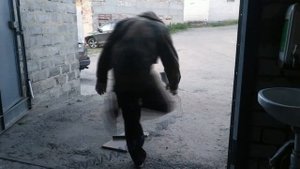 Съёмник пружин из жигулёвского домкрата