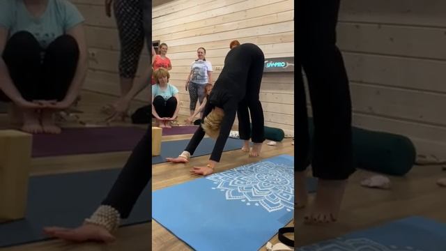 ВЫСОКАЯ СОБАКА! смотреть онлайн