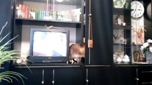 Раз, два, три, четыре, пять, меня уже не отыскать ( Find me ).mp4