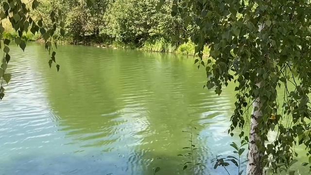 ЭТО ПРОСТО ИЗДЕВАТЕЛЬСТВО! ОЛЮНЯ И КОТЮНЯ.