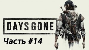 Days Gone #14