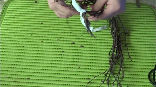 5 лайфхаков для волнистого попугайчика смотреть онлайн