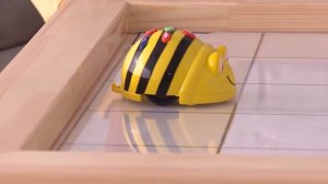 Лого-робот Пчелка Bee-Bot