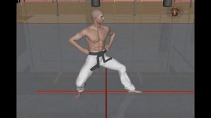 Стойка Кокуцу дачи карате