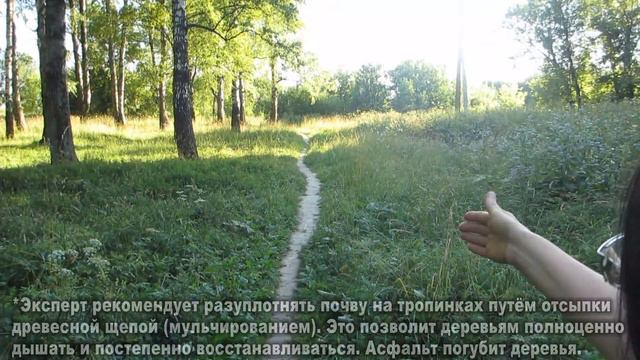 РЕАЛЬНАЯ ОБСТАНОВКА В МОЛОДОМ ЛЕСКЕ НА 9.07.21 смотреть онлайн