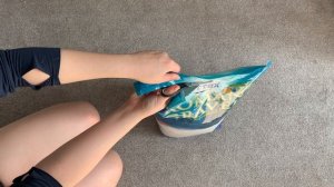 DIY Air Plant Terrariums // & How to Care