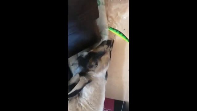 Вот это улов!!! смотреть онлайн