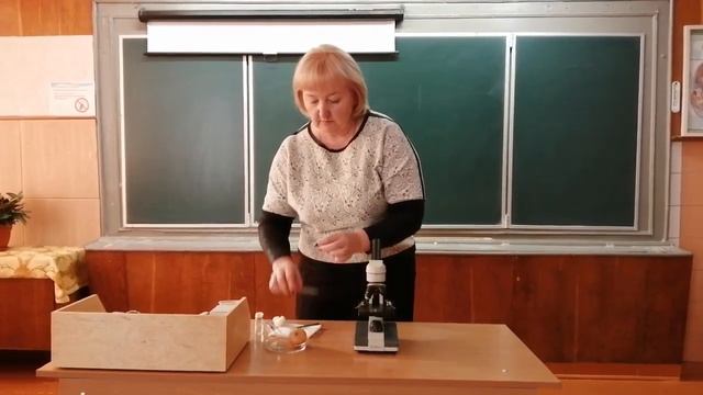 Лабораторная работа по биологии "Изучение клеток чешуи лука под микроскопом" смотреть онлайн