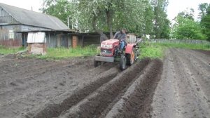 Шифенг Shifeng SF 240 с самодельным окучником на картофеле.