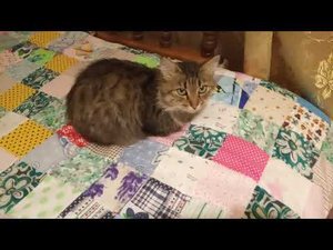 Переделка старого одеяла в технике пэчворк